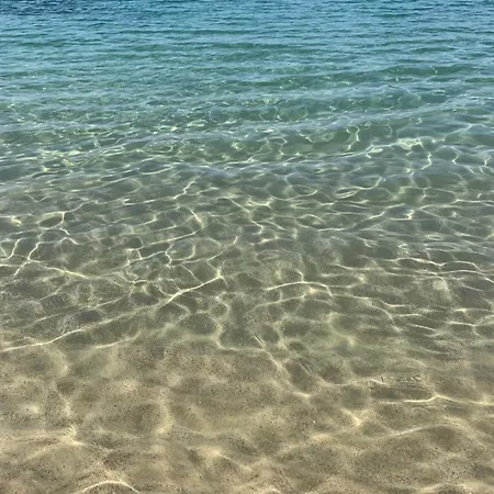 Vener Vista Mare *