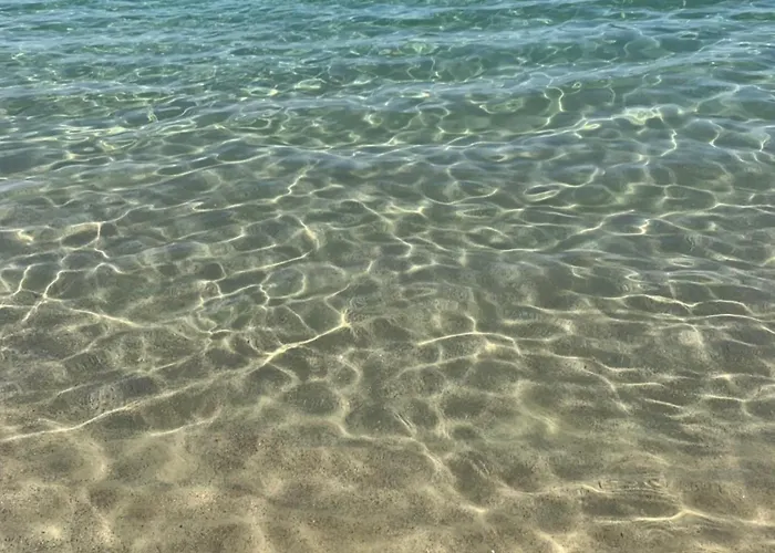Vener Vista Mare *